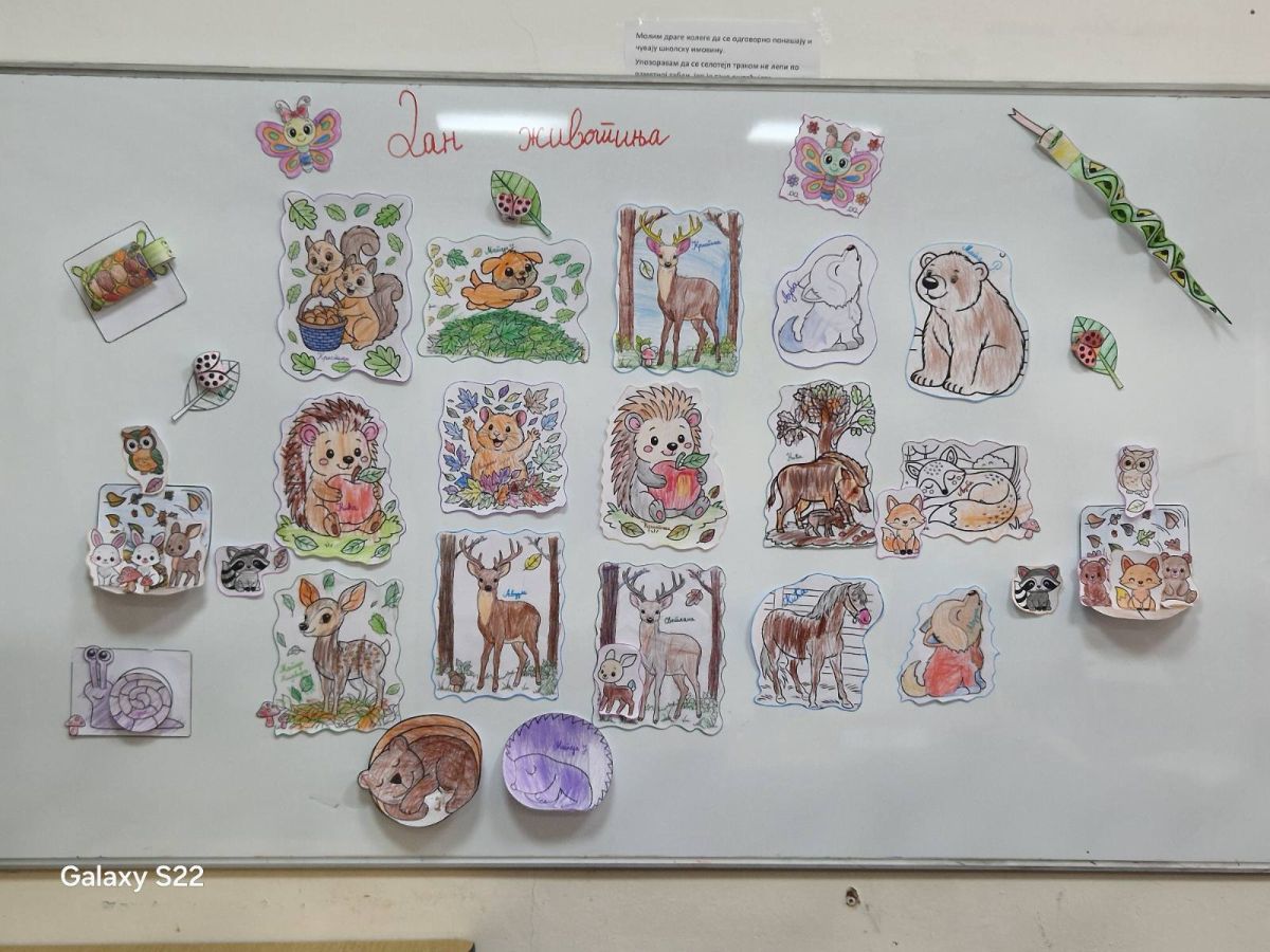 РАДИОНИЦА-БОРАВАК